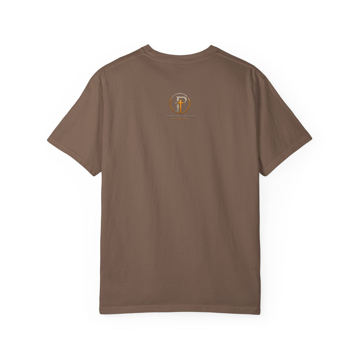 Godly Sorrowful Repentance Leads to Salvation T-Shirt — 2 Corinthians 7:10 Christian Faith Tee